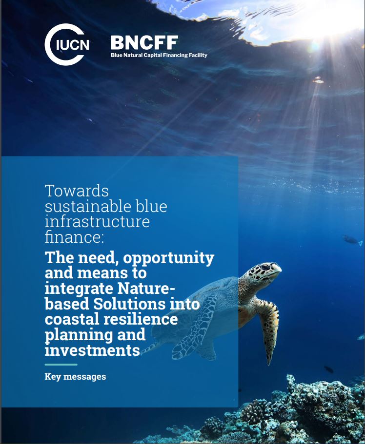 Case Study – Global Ocean Trust | Blue Carbon Partnership