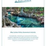 Blue Carbon Policy Assessment Activity Template