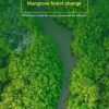 Decades of Mangrove Forest Change: What Does it Mean for Nature, People and the Climate?