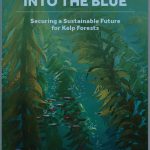 Into the Blue - Securing a Sustainable Future for Kelp Forests