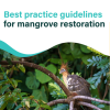Best Practice Guidelines for Mangrove Restoration