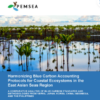 Harmonizing Blue Carbon Accounting Protocols for Coastal Ecosystems in the East Asian Seas Region