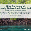 IPBC Knowledge Exchange #3 - How and Why to include blue carbon in NDCs